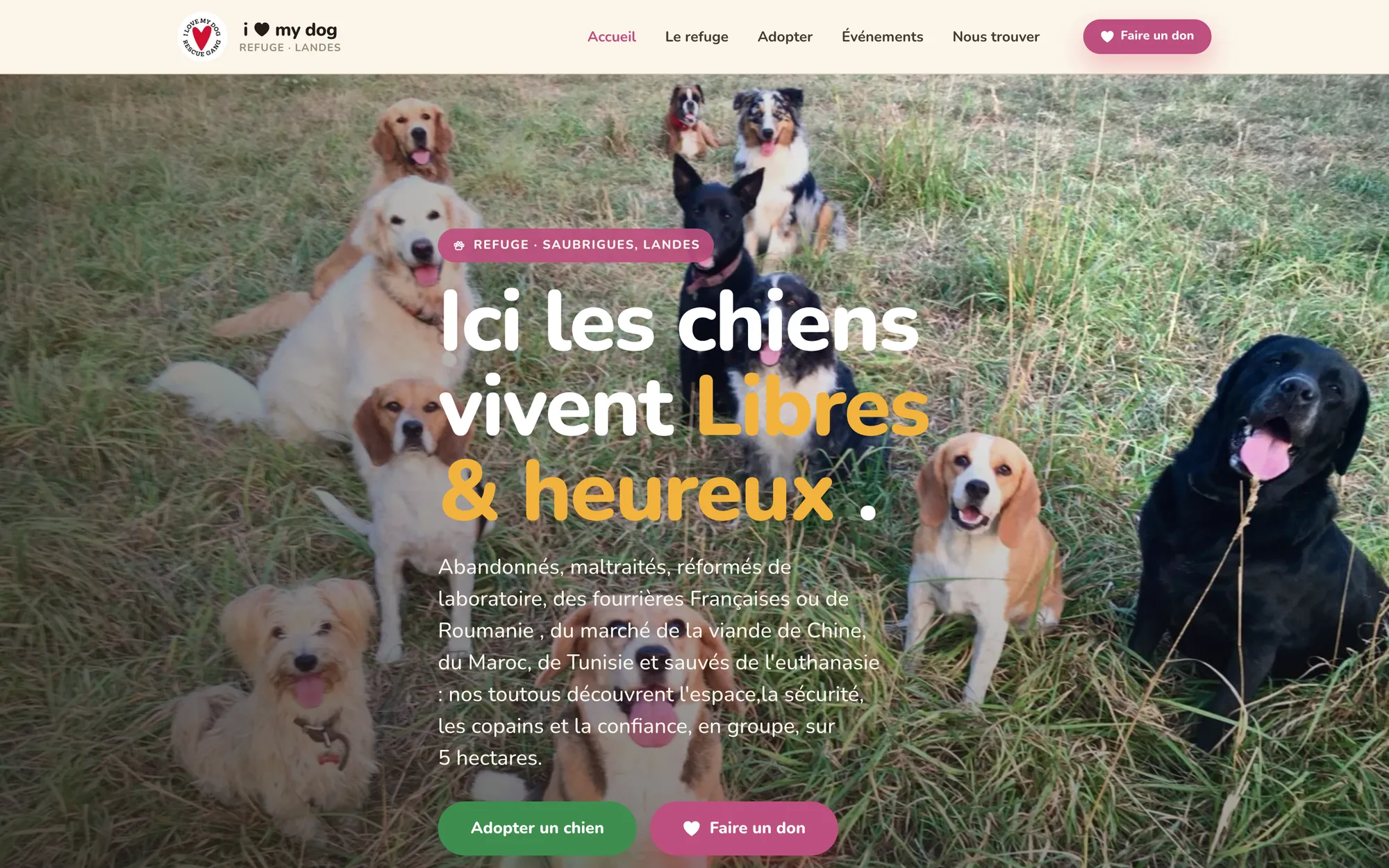 Page d'accueil du refuge i love my dog : Ici, les chiens vivent libres et heureux