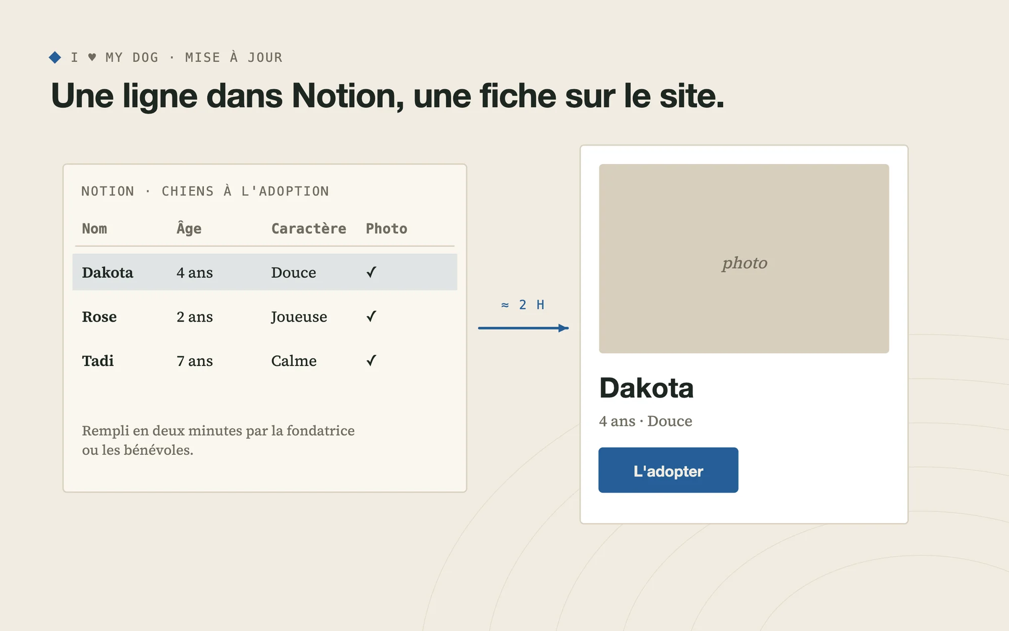 Une ligne dans le tableau Notion devient une fiche chien sur le site