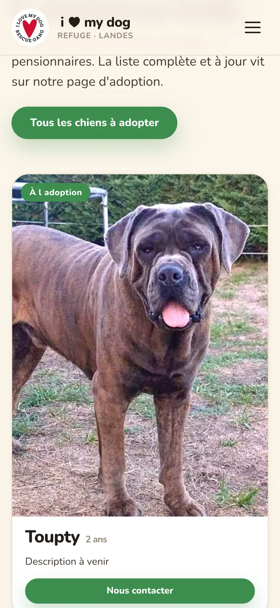 Chiens à l'adoption sur mobile